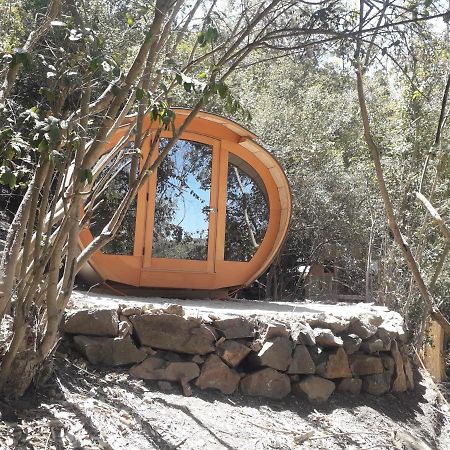 Biosfera Lodge Olmue Luaran gambar