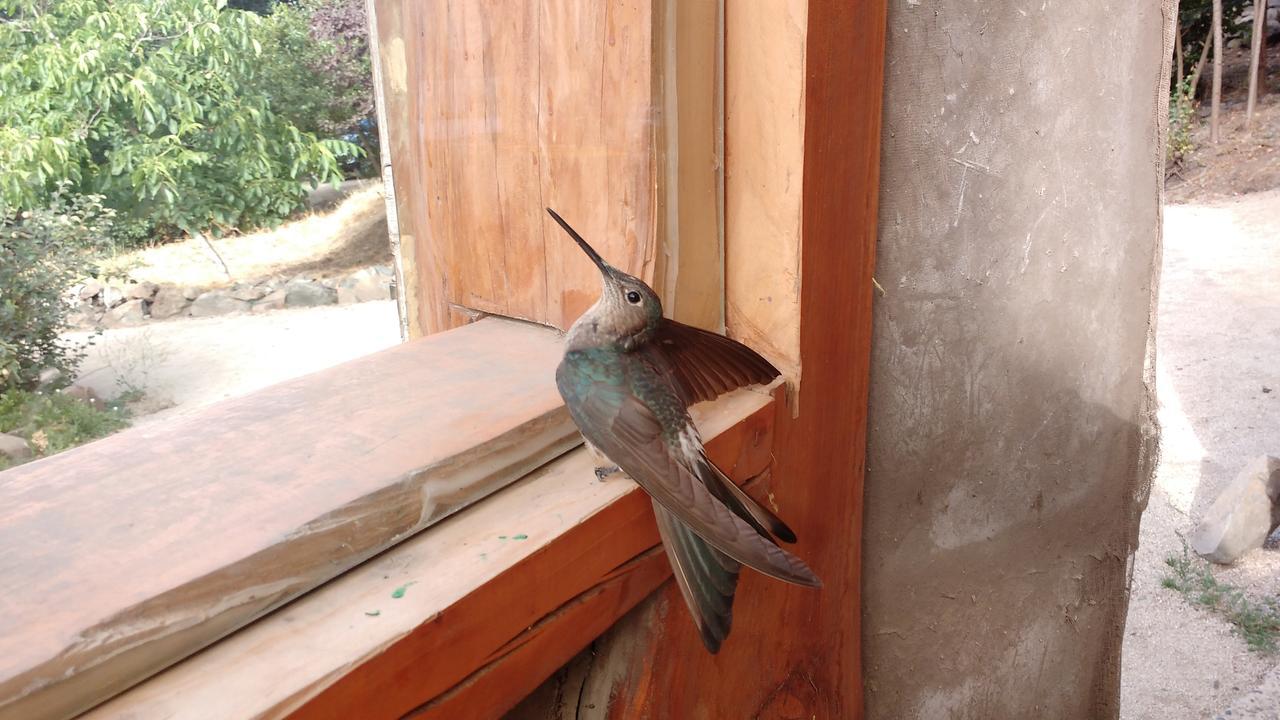 Biosfera Lodge Olmue Luaran gambar