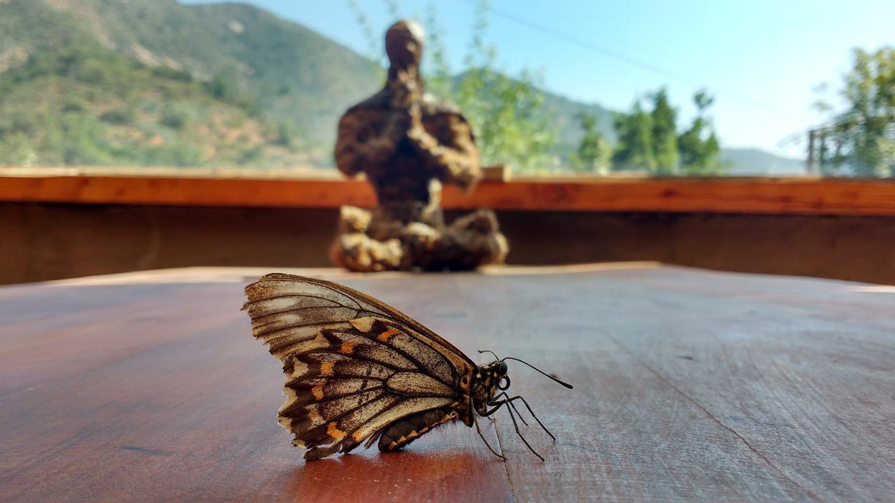 Biosfera Lodge Olmue Luaran gambar