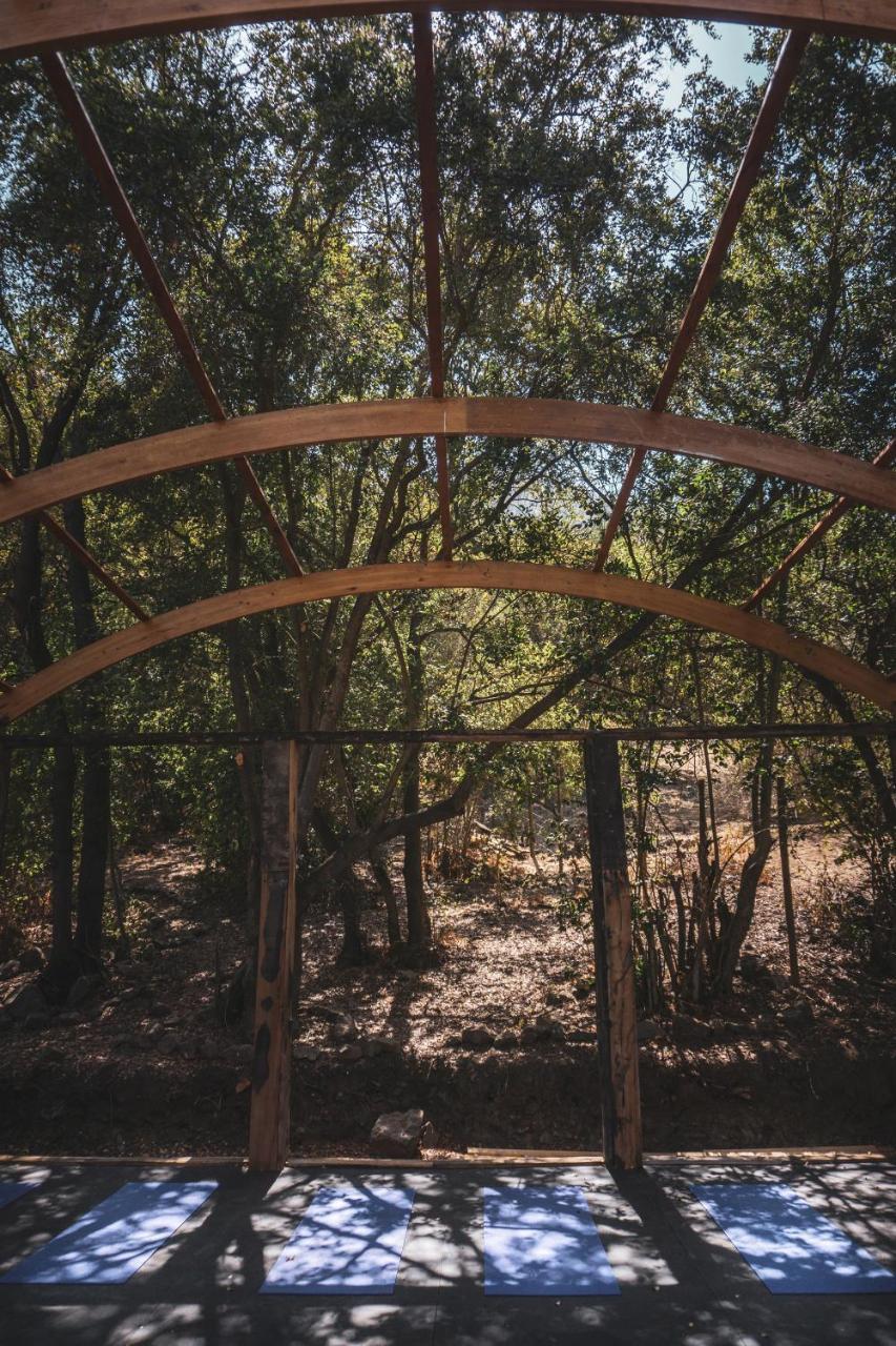 Biosfera Lodge Olmue Luaran gambar