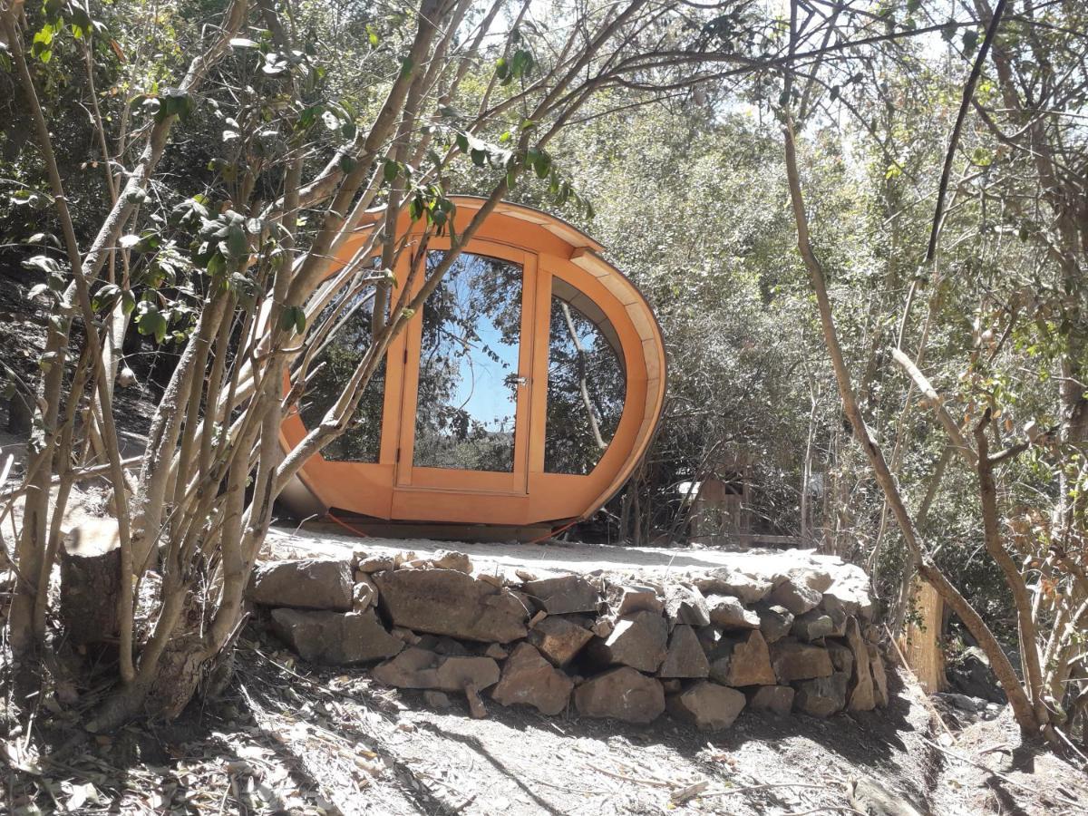 Biosfera Lodge Olmue Luaran gambar